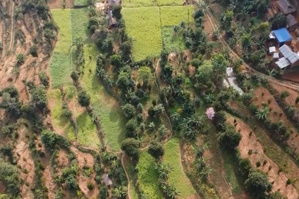 व्यावसायिक फलफूल खेतीतर्फ भुल्केका किसानको आकर्षण